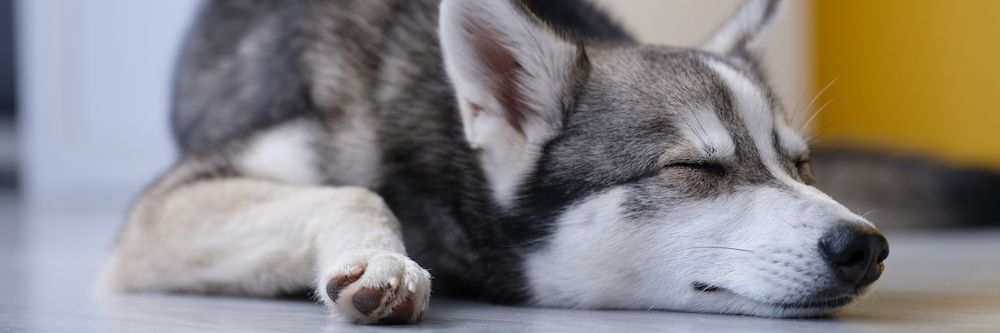 The Gossip Column: June 6, 2025